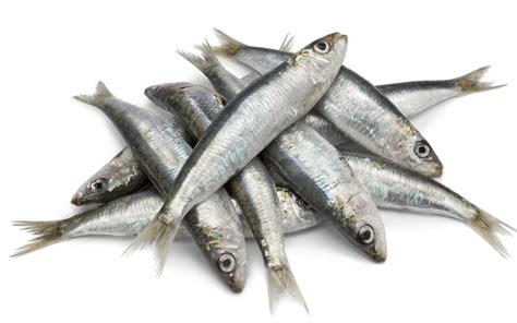 Why Sardines and Other Small Fish Are the Secret to a Healthier .